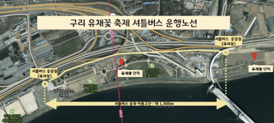 구리 유채꽃 축제