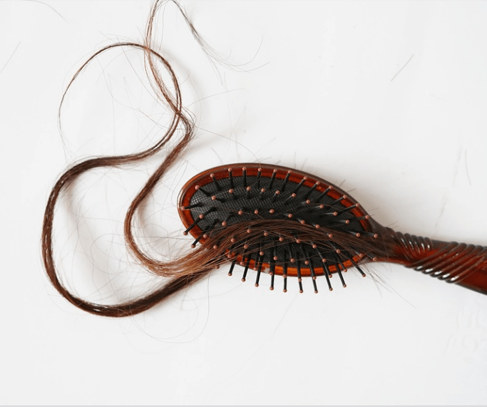 로즈마리 효능은 탈모에 도움이 된다