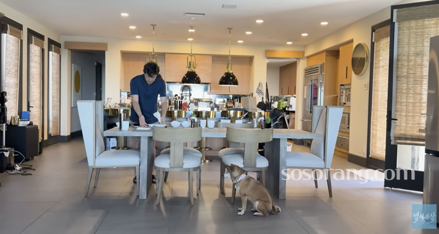 김병세 유튜브에 공개한 300평대 LA 집