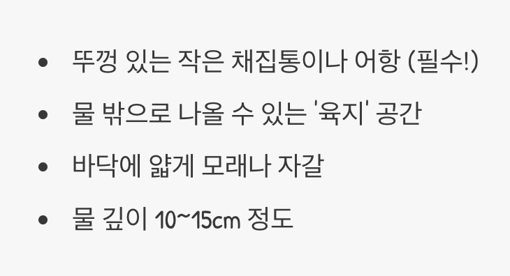 물방개를 위한 아늑한 집 꾸미기