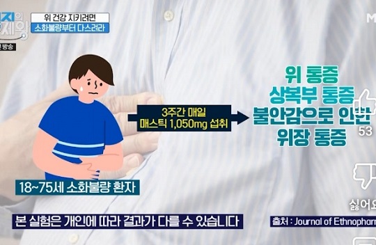 매스틱유산균