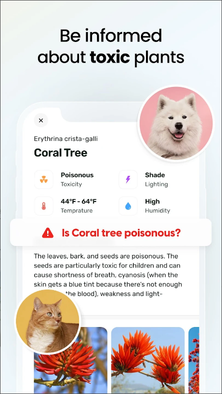 식물 식별(Plant App) 어플, AI 식물 식별 하기, 사진으로 식물 이름 찾기
