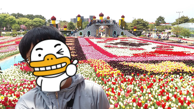 ํ์ ํค๋ฆฝ์ถ์ 
