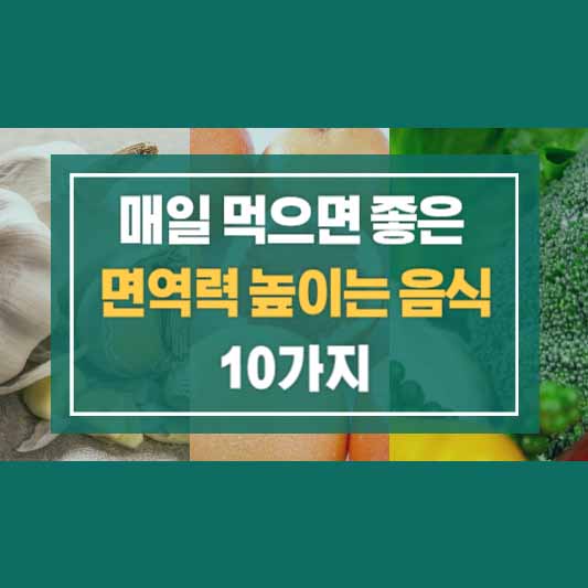 매일 먹으면 좋은 면역력 높이는 음식 10가지