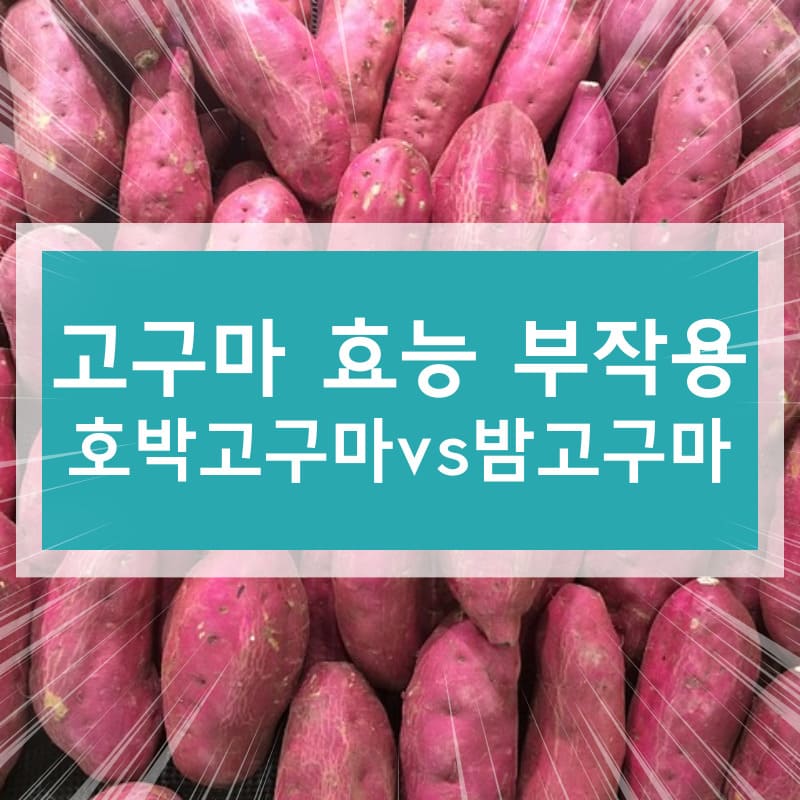 고구마 효능 부작용