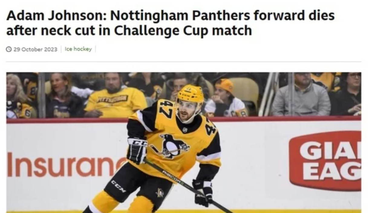 아이스하키 애덤존슨