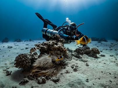 지구에서 가장 깊은 곳, 마리아나 해구의 미스터리 – 인류가 거의 탐사하지 못한 심해의 가장 깊은 곳