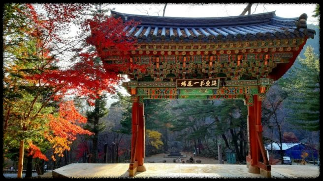 2024 경남 가을 단풍 명소 추천: 절정 시기&amp;#44; 여행 팁&amp;#44; 주변 맛집까지 완벽 가이드