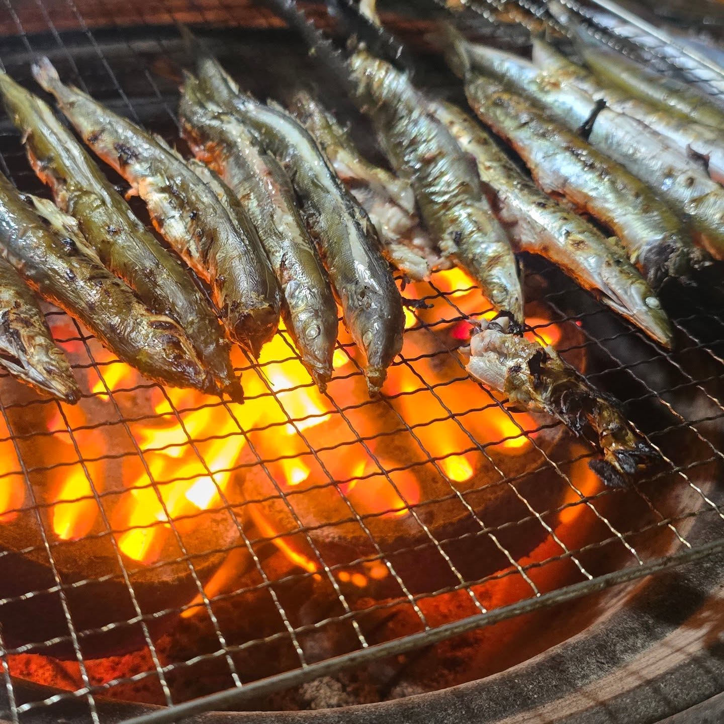 속초 항구와 양미리·도루묵를 파는 어판장 풍경(이미지 교체 예정)