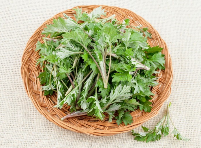 제철음식을 통한 건강 관리 - 계절음식 추천 TOP12