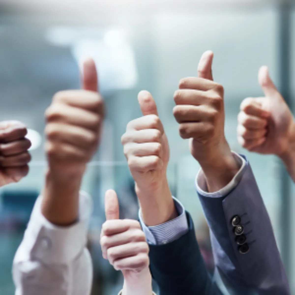 2025년 노인 일자리 모집