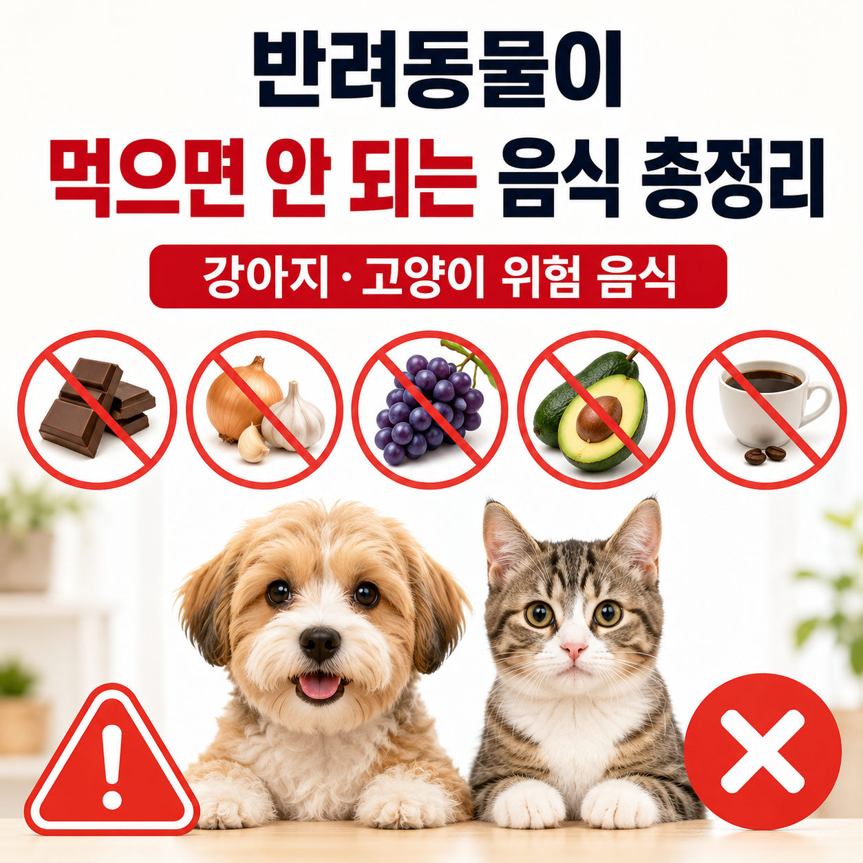 반려동물이 먹으면 안 되는 음식