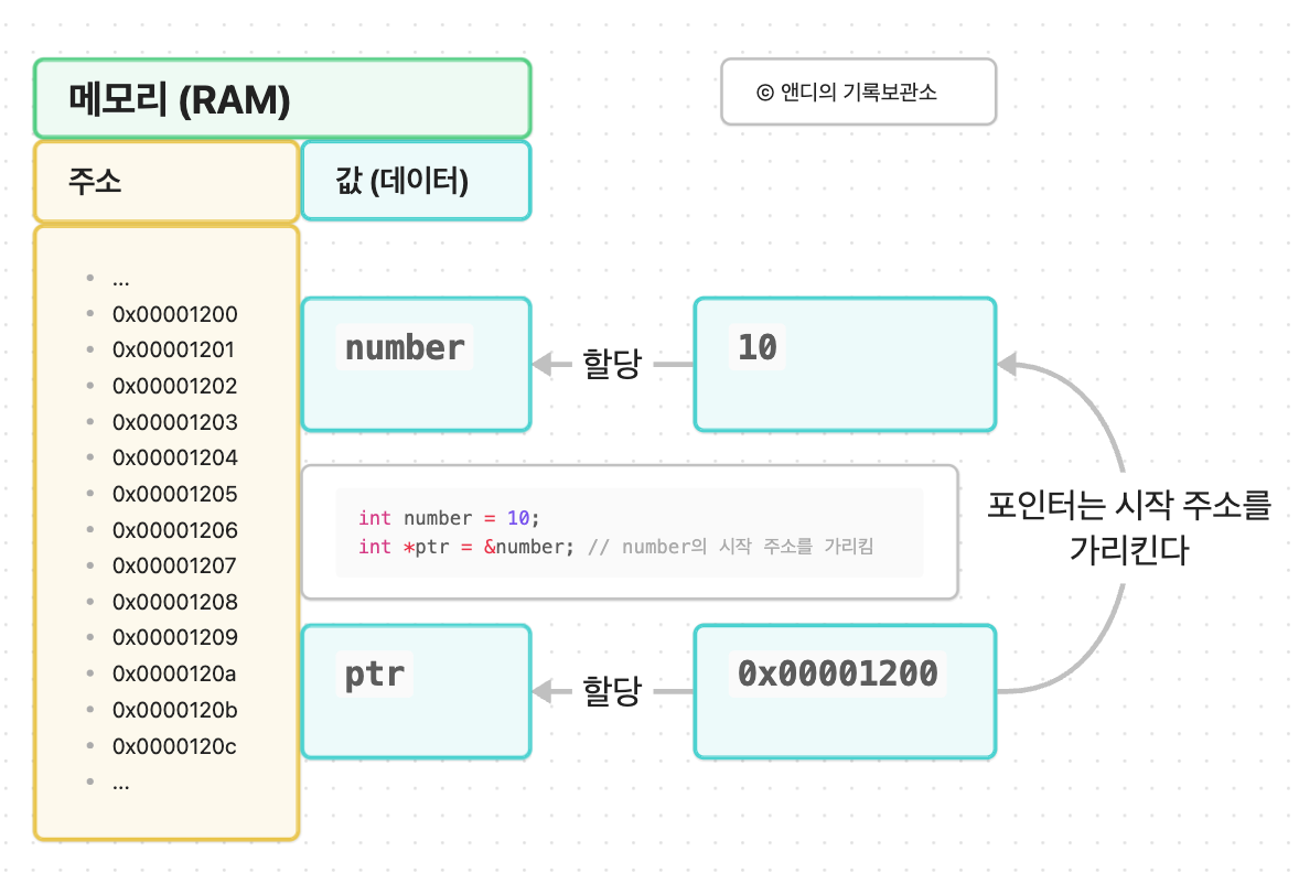 포인터는 특정 값이 아닌 어느 변수의 주솟값을 데이터로 담아, 해당 변수의 시작 주소를 가리킨다.