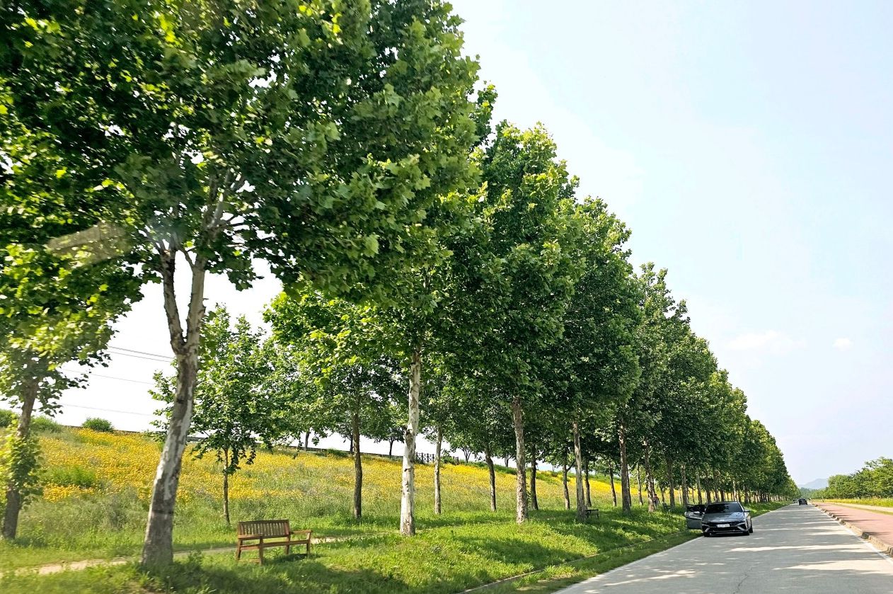 낙동강체육공원