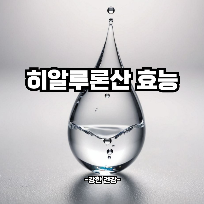 히알루론산 효능