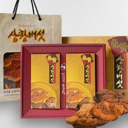 상황버섯주문
