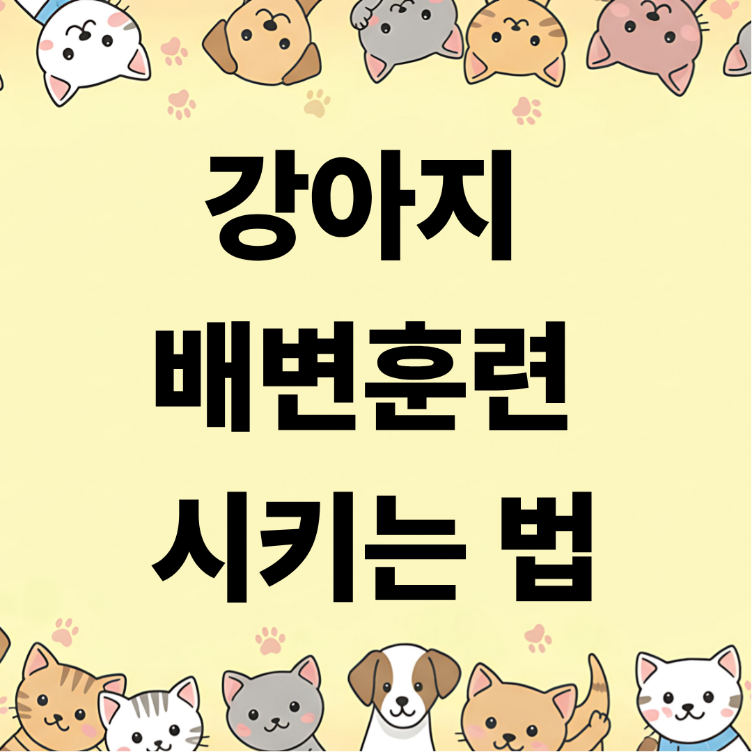 강아지 배변훈련 시키는 법