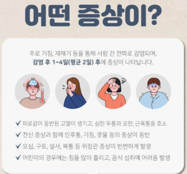 독감보험-진단비