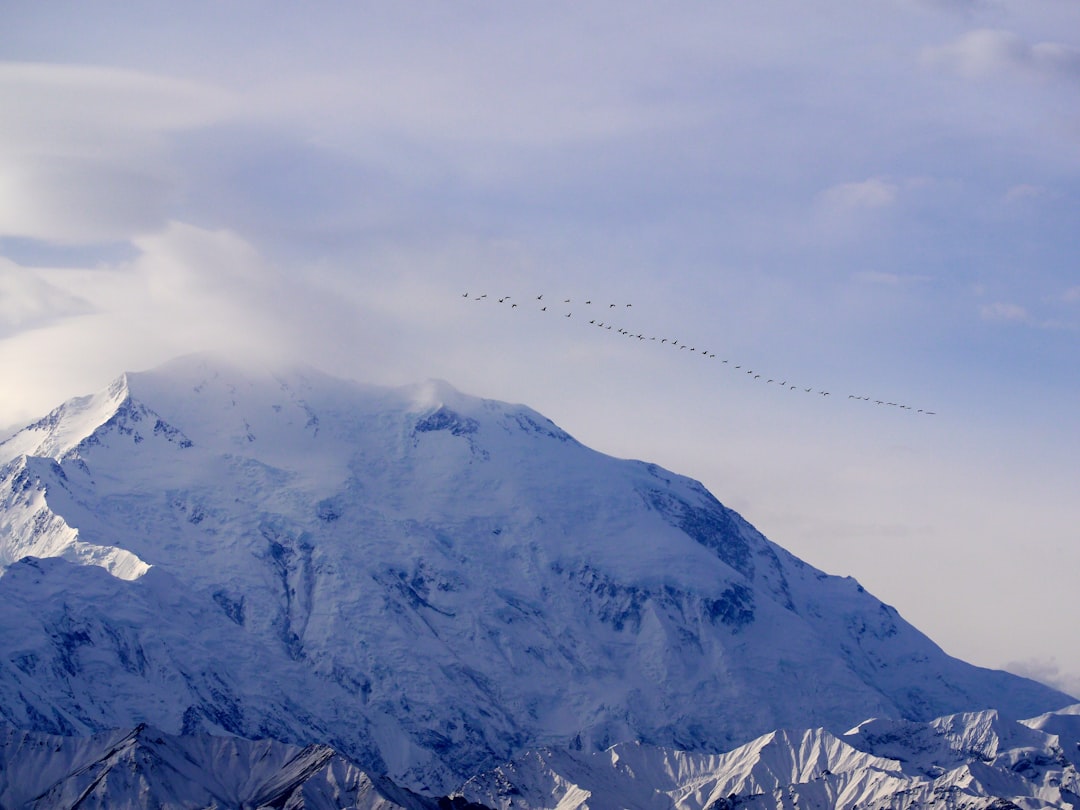 Migration