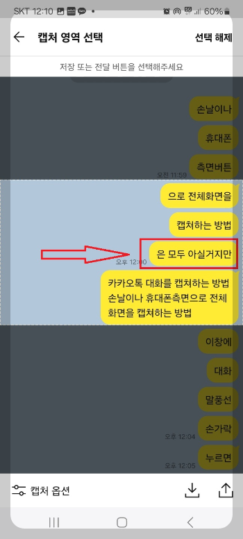 카톡 대화 내용 캡쳐