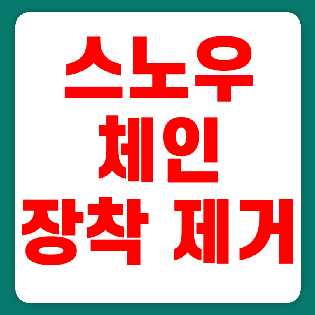 스노우 체인 장착 및 제거 운전 방법(+2023)