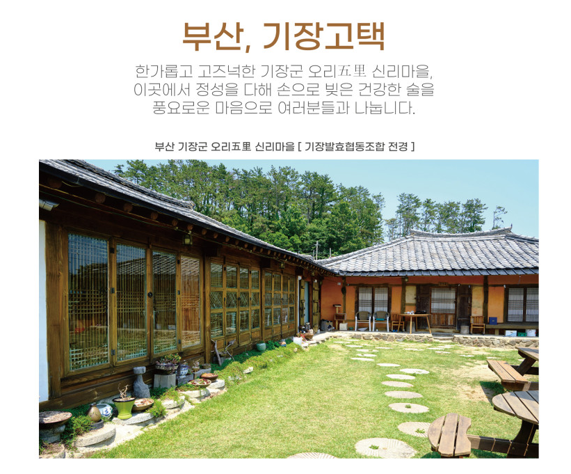 6시내고향 미역막걸리 부산 기장발효협동조합