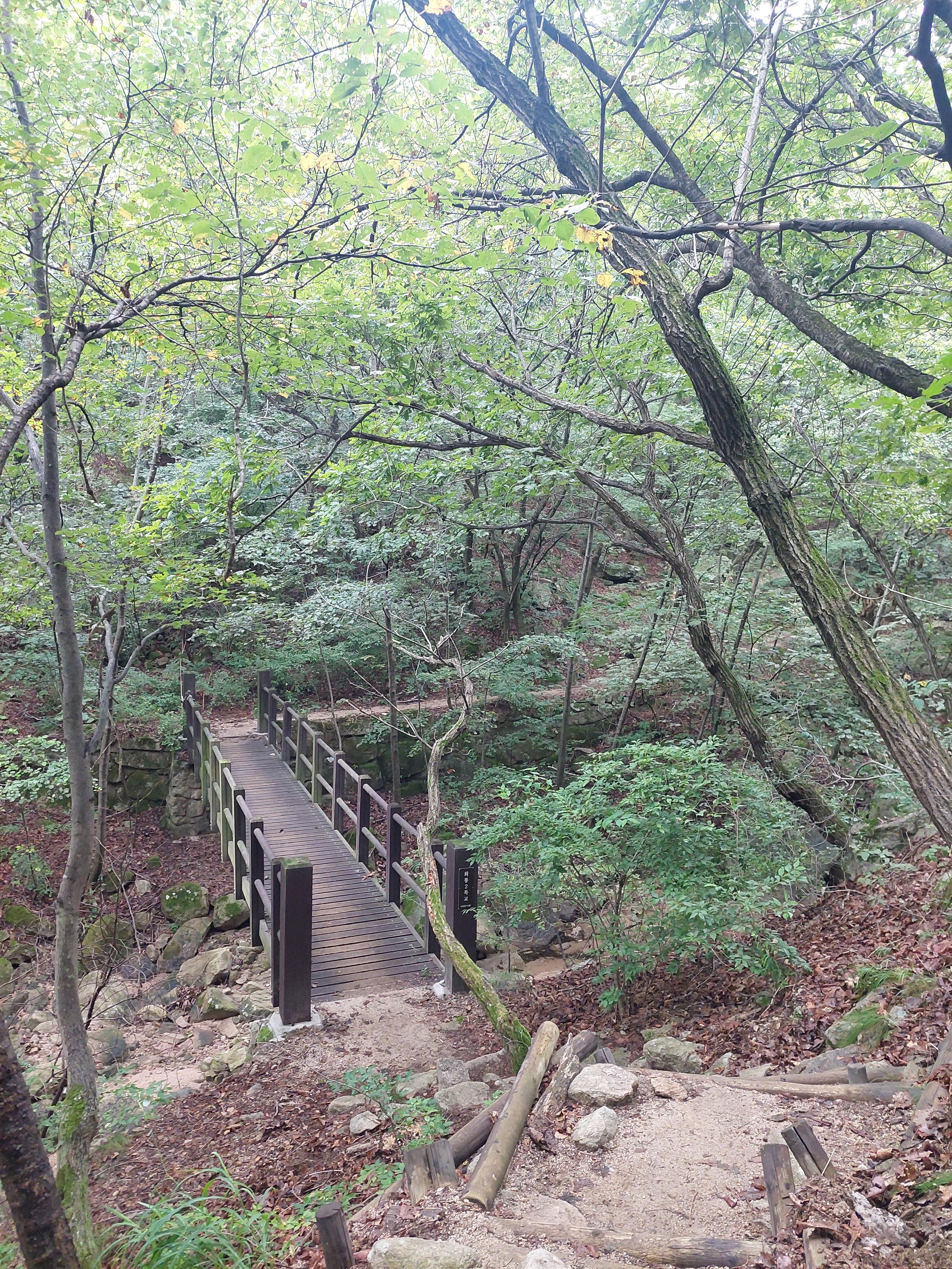 사패산