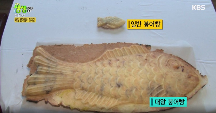 대전 대왕붕어빵 크기