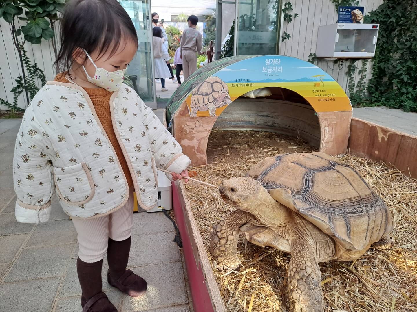 용인 가볼만한곳 곤충테마파크