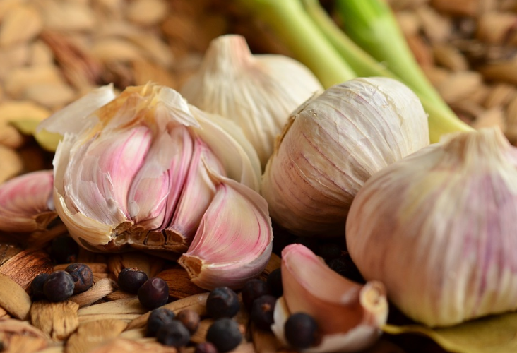 마늘의 효능
