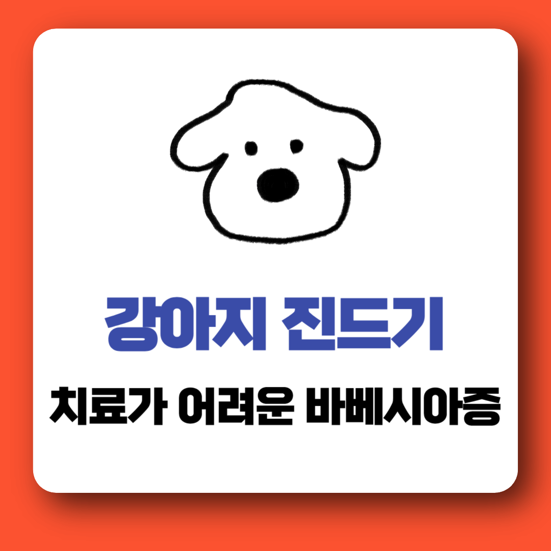 강아지 진드기 바베시아