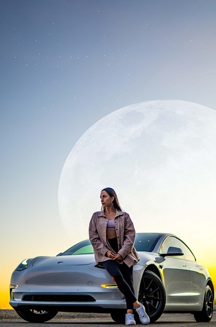 테슬라 차문 결함