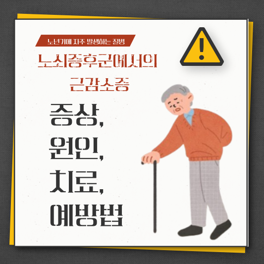 노쇠증후군에서의 근감소증: 증상, 원인, 치료, 예방법