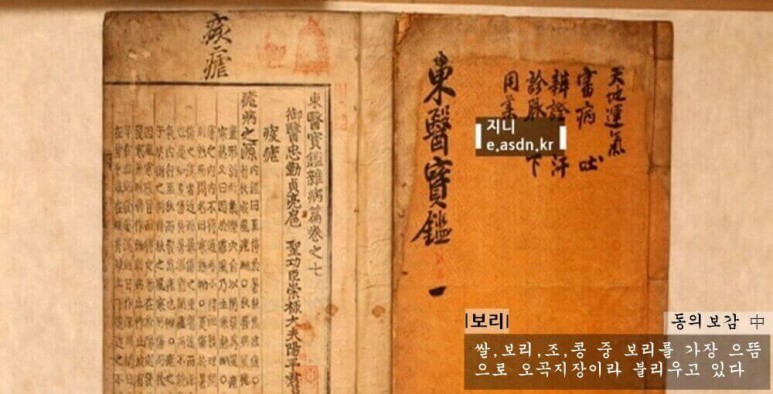 보리 효능 9가지와 부작용 총정리