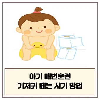 강아지 배변훈련 쉬운 단계 배변패드 위치 옮기는 법_22