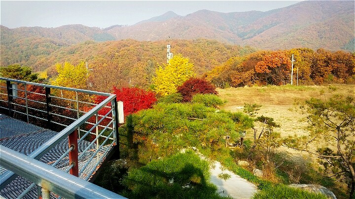 비루개