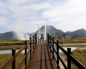 강진 반값 여행_5