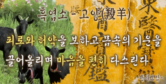 흑염소진액