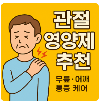 관절영양제추천