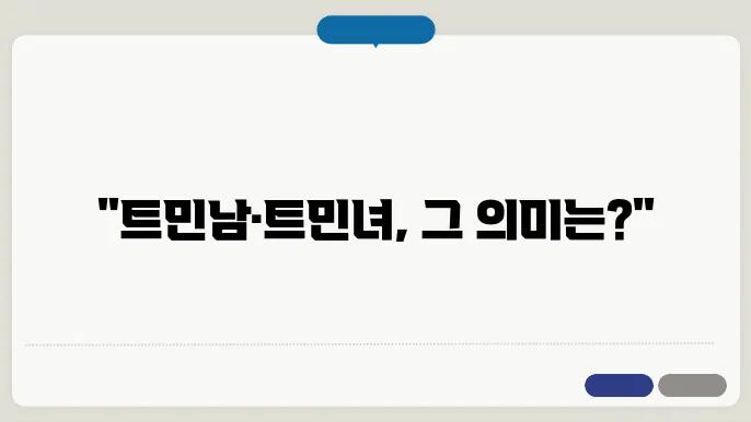 트민남 뜻, 튿c남 뜻