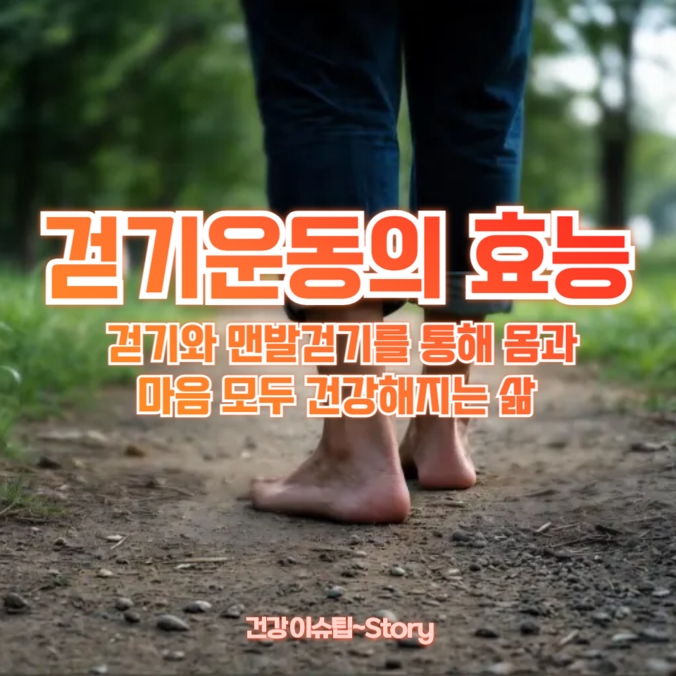 걷기운동의 효능