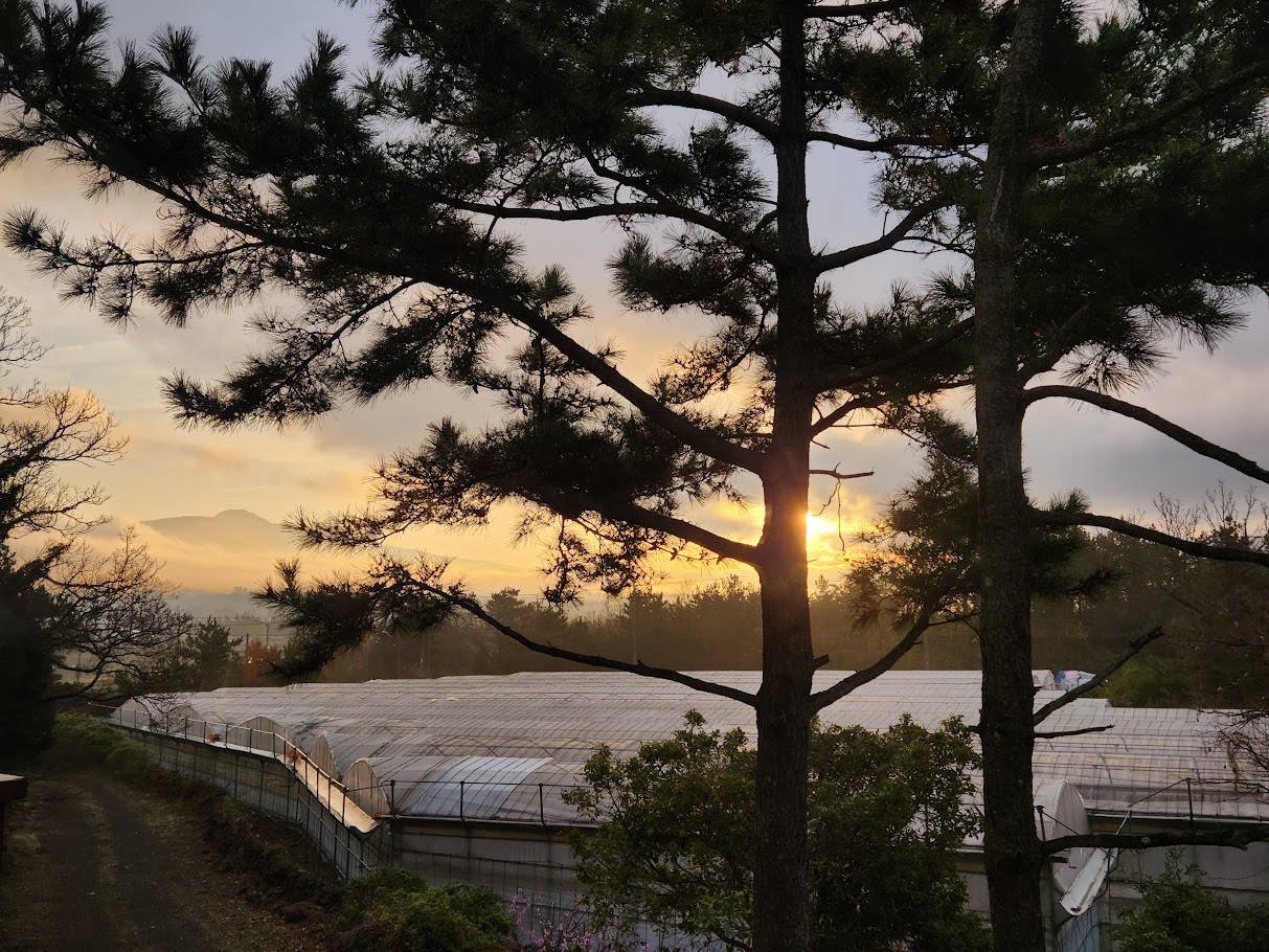 한라산 보이는 창가