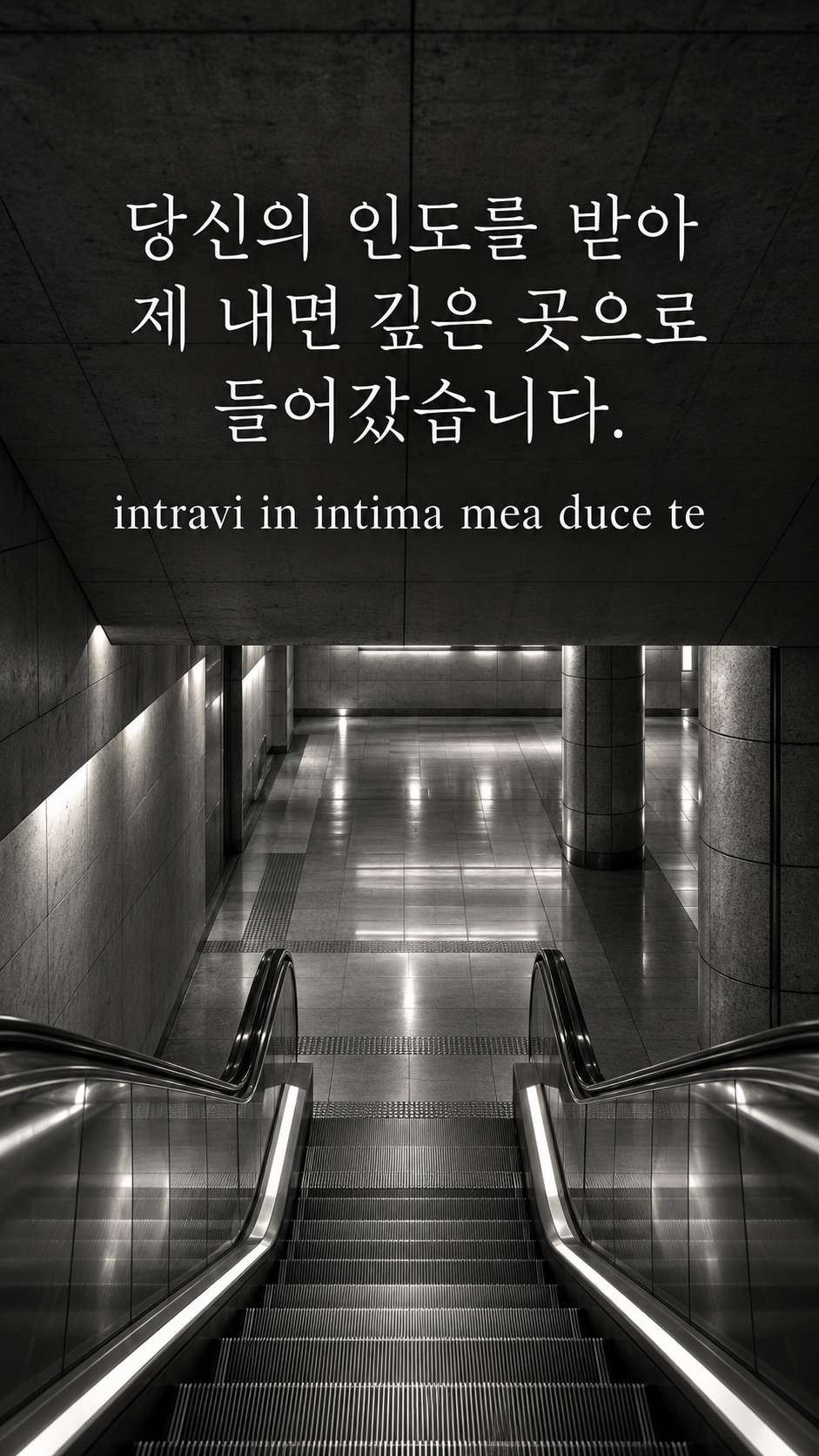 당신의 인도를 받아 제 내면 깊은 곳으로 들어갔습니다. — 현대 지하철역의 빈 에스컬레이터, 사실적인 현대 흑백사진
