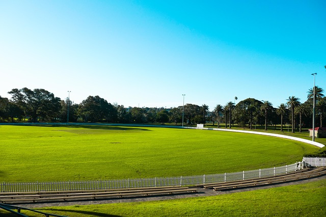손흥민 축구선수 연봉