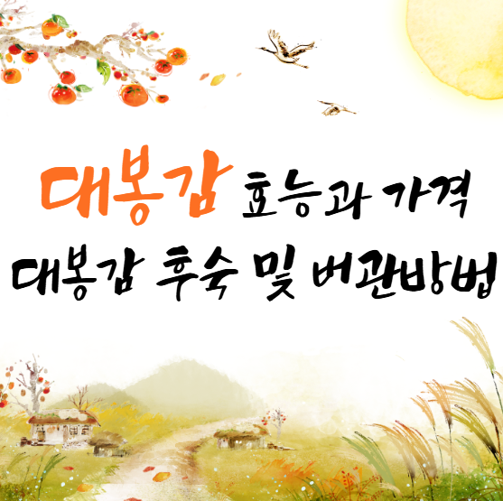 대봉감 10kg 가격, 대봉감 수확시기와 효능