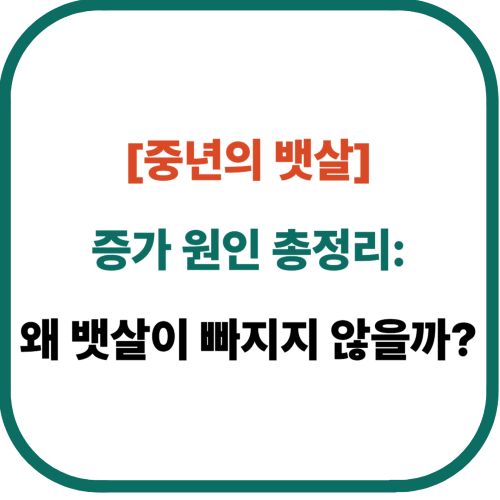 중년의 뱃살 증가 원인 총정리: 왜 뱃살이 빠지지 않을까?