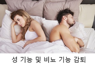 갱년기