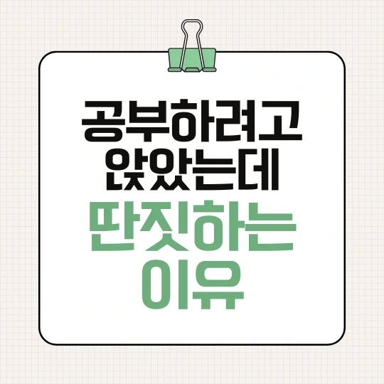 공부하려고 앉았는데는 검은색으로 딴짓하는 이유는 연두색으로 적었다.