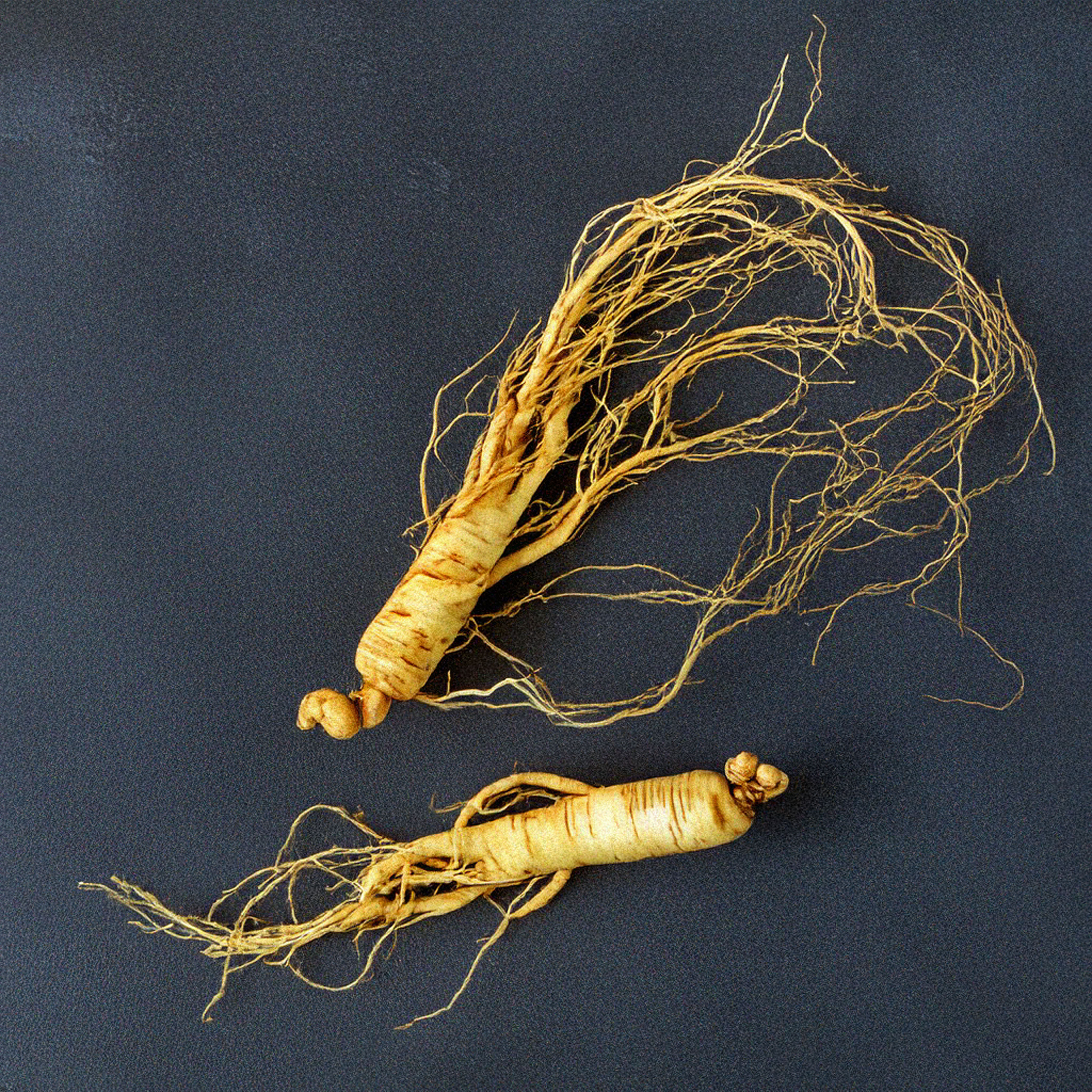 어버이날 선물추천