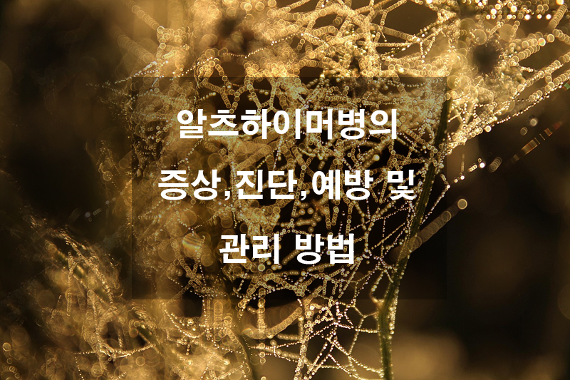 알츠하이머병의 증상&amp;#44; 진단&amp;#44; 예방 및 관리 방법